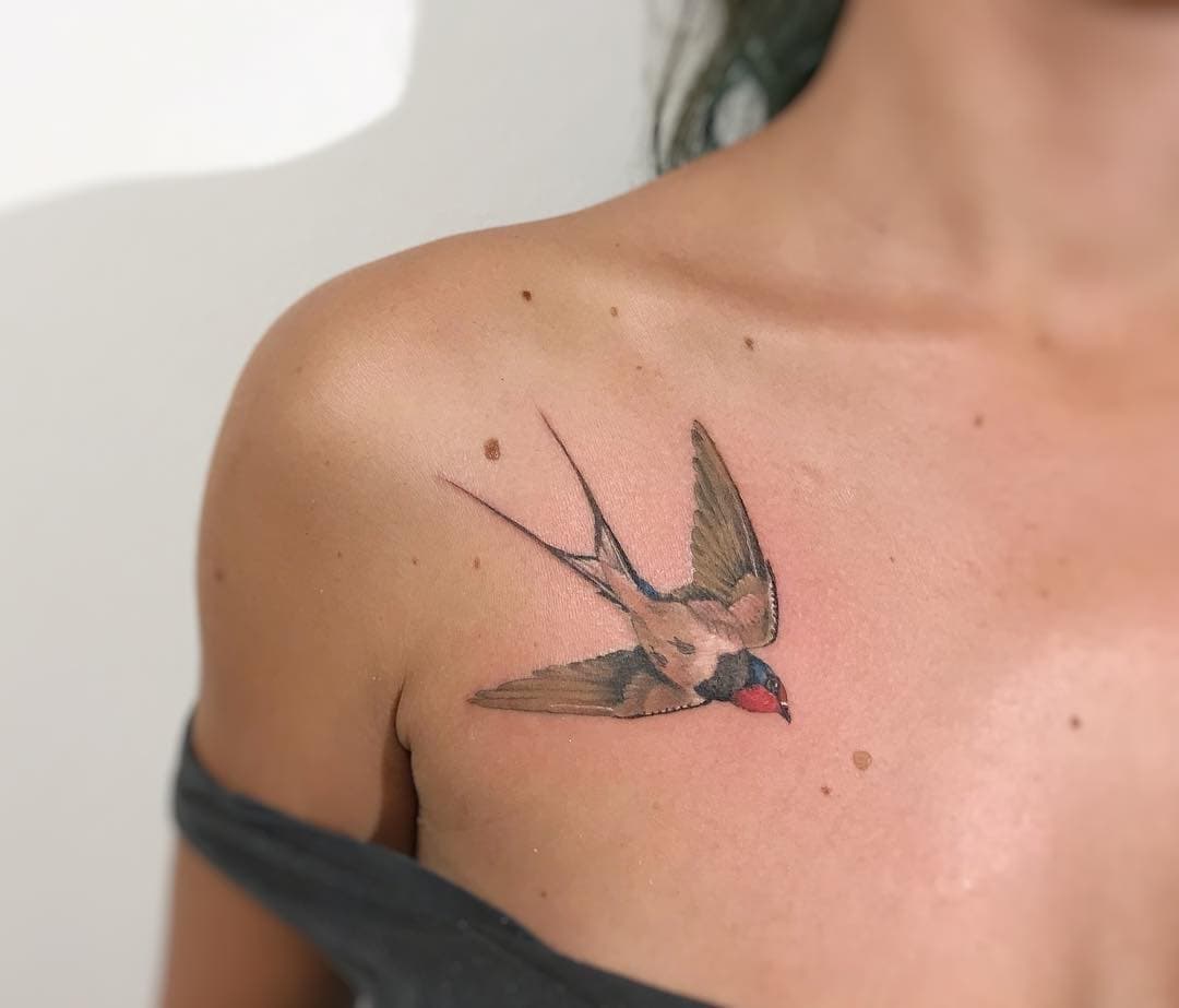 _Rondine
.
.
.
.
.
#disegnarti #swallowbirdtattoo #birdtattoo #rondinetattoo #freebirdtattoo #realistictattoo #inkedgirl #instatattoo  #tattooist #tattoo_artwork #tattoos_of_instagram #tattoo