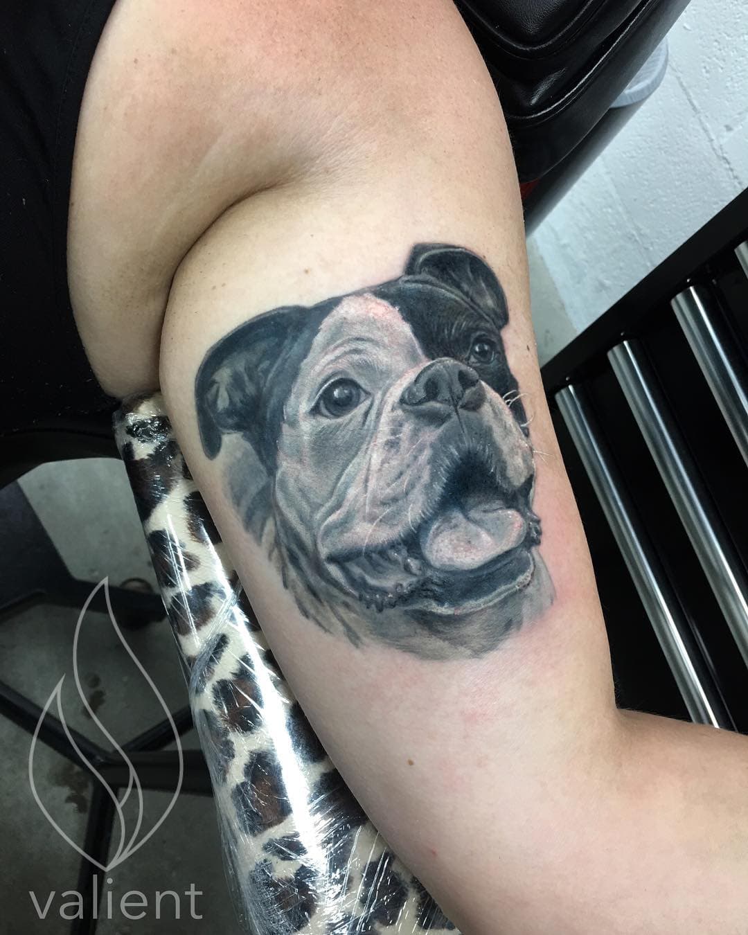 I love Dogs! They’re honestly the best and that’s exactly why I’m soo stoked to get to finish this Pup in the New Shop! @innerlighttattoo If you haven’t followed the new shop yet then your instagram must be broken!
#dogs #dogtattoos #dogportrait #animalportrait #tattoo #tattoos #blackandgrey #blackandgreytattoo #colortattoo #colortattoos #photorealism #photorealismtattoo #blackworktattoo #blackwork #traditionaltattoo #traditionaltattoos #california #torrance #hermosa #manhattan #gardena #lawndale #lomita #harborcity #valient #valientart #newera