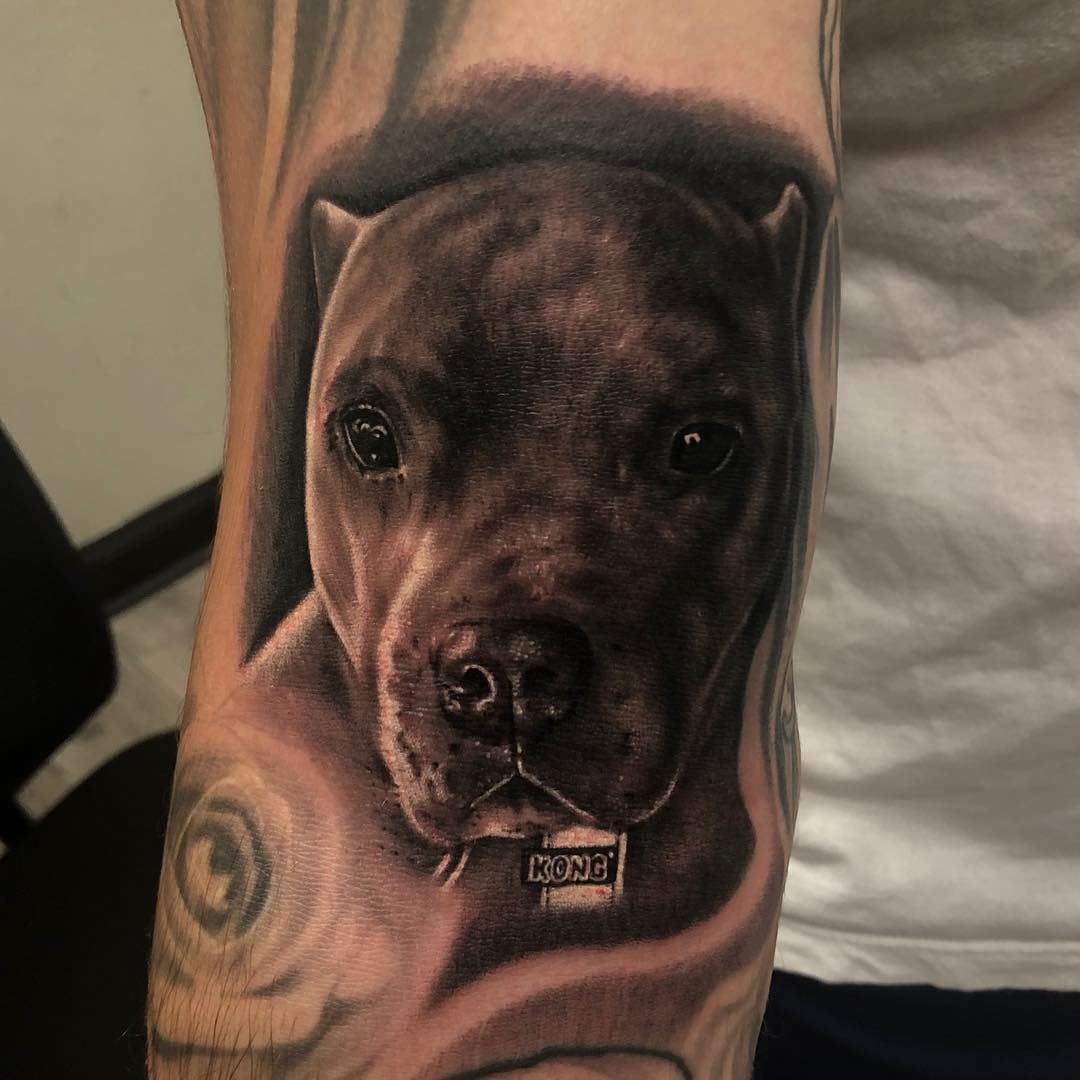 Portrait I did of my baby Bruce on @zachigginsart 😢 R.I.P. Brucey ❤️ we loved you so much