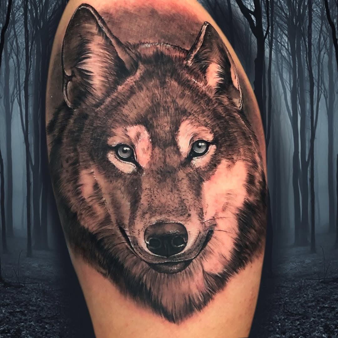 Wolf en proceso #wolftattoo #wolf #tattoo #malaga #love #animal #tattoo @aloetattoo @realistic_tattoos @bnginksociety @inkedmag @inkjecta @eliteneedle @the.best.tattoo.page @thebestspaintattooartists