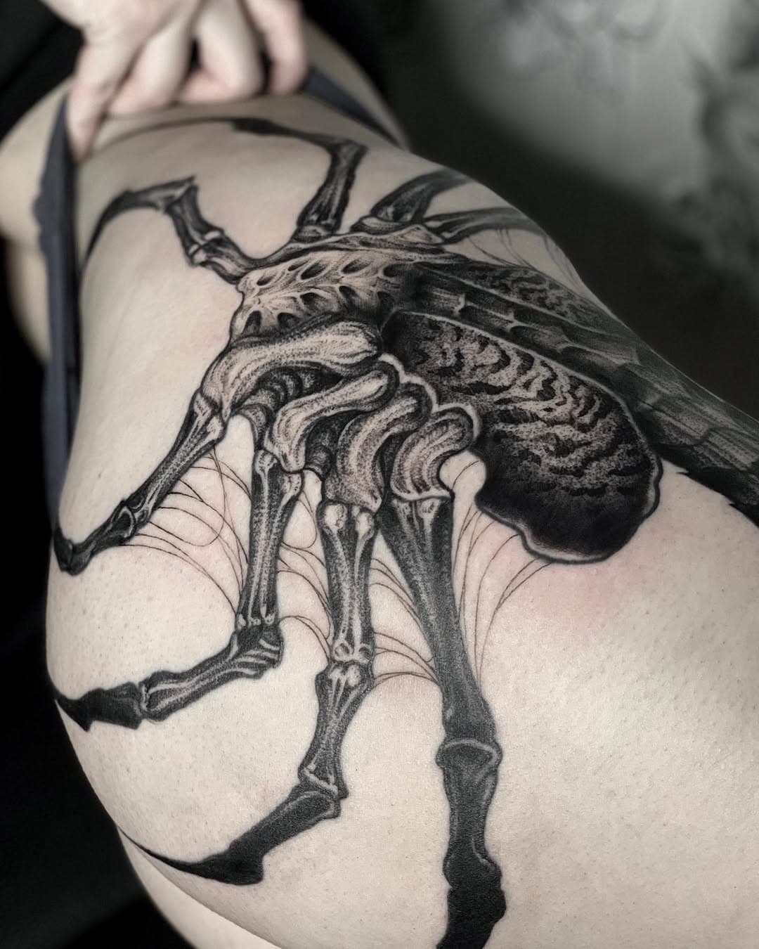 Facehugger details 🕷⁣⁣⠀
⁣⁣⠀
Freehand only ✍🏼⁣⁣⠀
_______________⁣⁣⠀
#am_tattoo #am_freehand #freehandtattoo #tattooart #alientattoo  #alienmovie #alientattoo #facehugger #facehuggertattoo