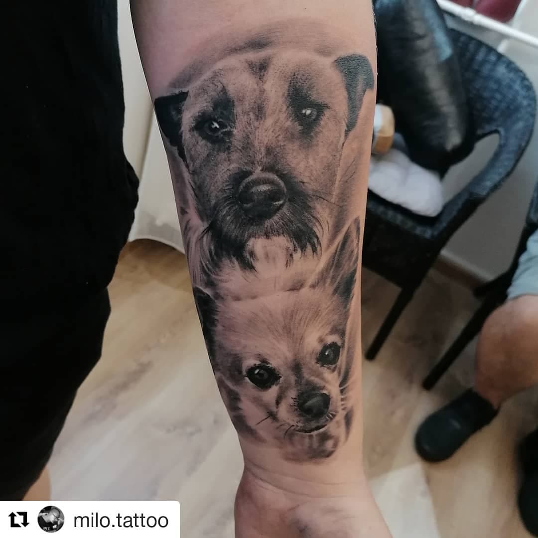 #dresden#artofarrows #artofarrowstattoodresden #tattoowierung  #tattoo  #realistictattoo #realism #tattooinspiration #tattoolife #dresdentattoowierung #inked #portrait #ink #tattooartist #ink #art #artists  #artistsoninstagram #dogtattoo #dogportraits