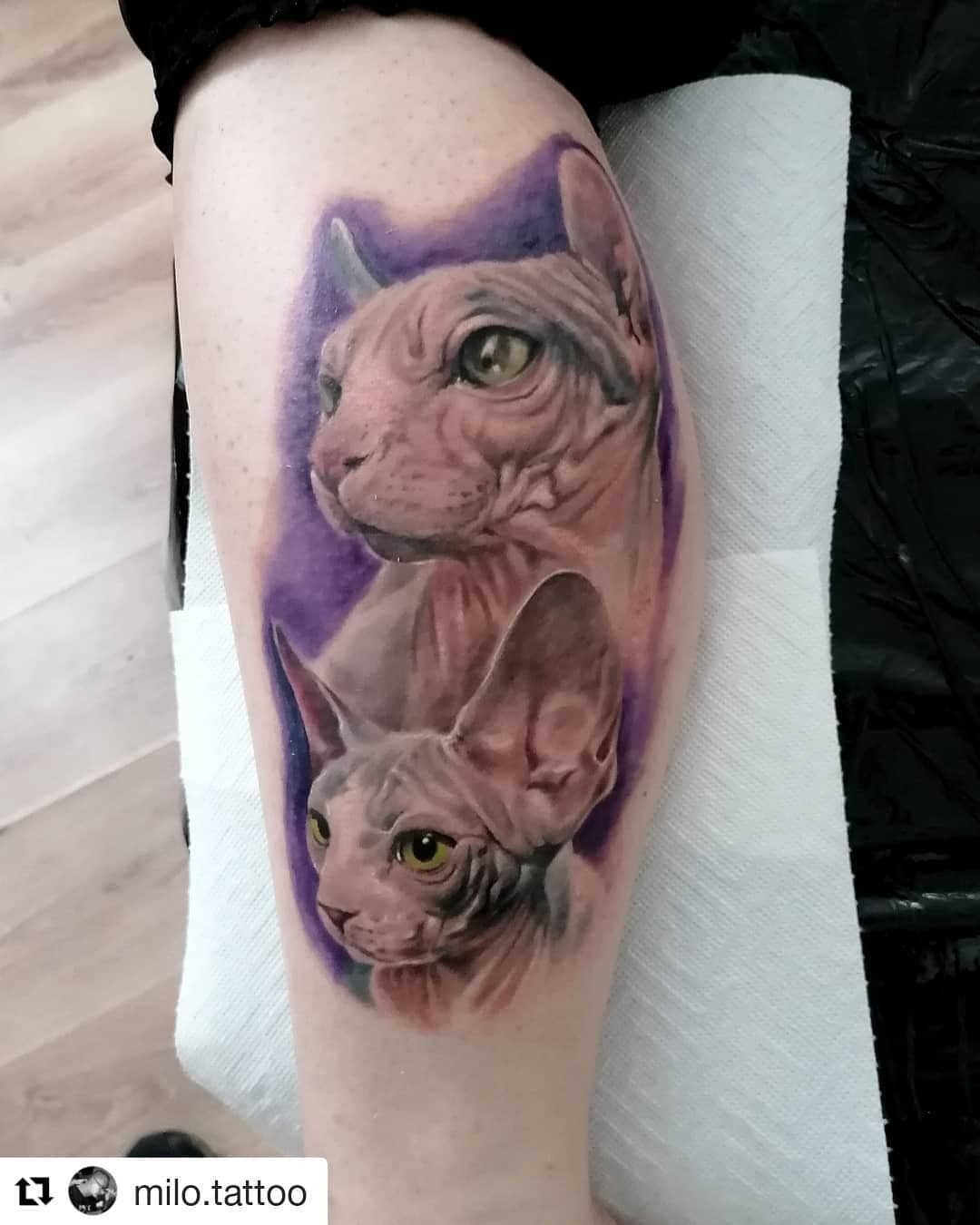 #dresden#artofarrows #artofarrowstattoodresden #tattoowierung  #tattoo  #realistictattoo #realism #tattooinspiration #tattoolife #dresdentattoowierung #inked #portrait #ink #tattooartist #ink #art #artists  #artistsoninstagram #cat #cattattoos #sfinxcat