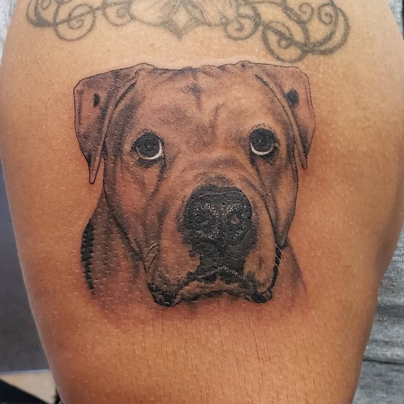Pitbull tattoo from today by Chris