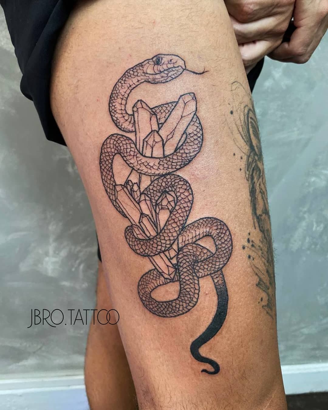 Ano passado fiz no @flordapeletattooaria  essa cobritcha com cristais pro Murilo, ninja da @micropigmentacao_curitiba. Fiquei super feliz de ter feito essa tattoo e fazer minha sobrancelha com ele, arrasa muito!
<3 
Agendamentos/orçamentos: 📩jebrotattoo@gmail.com (41) 99641-8440
.
.
.
#cobra #cristais #tattoo #tatuagem #blackink #black #desenho #ilustração #animação #cicatrizada #femaletattooartist #tatuecomoumagarota #blackwork #fineline #tattoofina #bold #tattoocwb #curitiba #munich