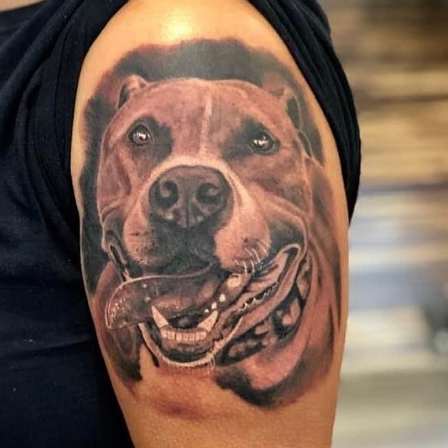 Done by Justin @followthetrainhat 

#tattoos #hokeypokeytattoo #justinholcombe #followthetrainhat #dogtattoo #armtattoo #tattooink