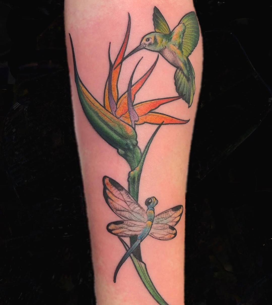 Meaningful tattoo for @j9_elizabeth ✨💕thank you!
.
.
#hummingbird #hummingbirdtattoo #dragonfly #dragonflytattoo #birdofparadise #birdofparadisetattoo #colortattoo #inmemorytattoo #forearmtattoo #hommagetattoo #njtattoo #njtattooartist #njtattooshop