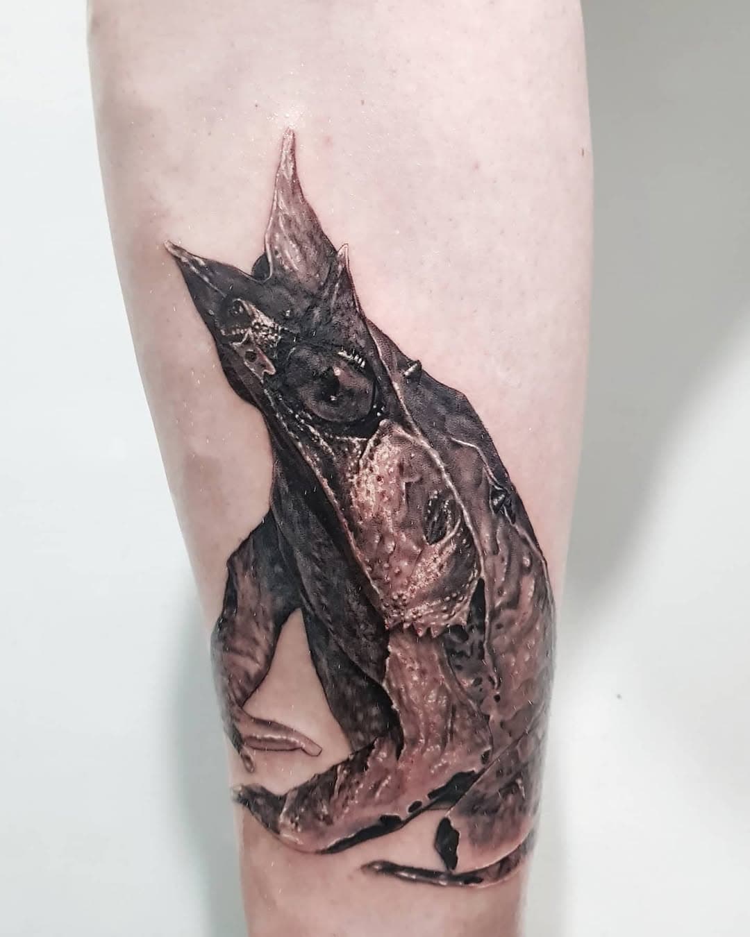 Theres an estimated 8.7 MILLION species of animals on this planet. Almost all of them are cooler than wolves and lions.

Little #megophrysnasuta done a few years ago @barcelonatattooexpo on @davejackson78