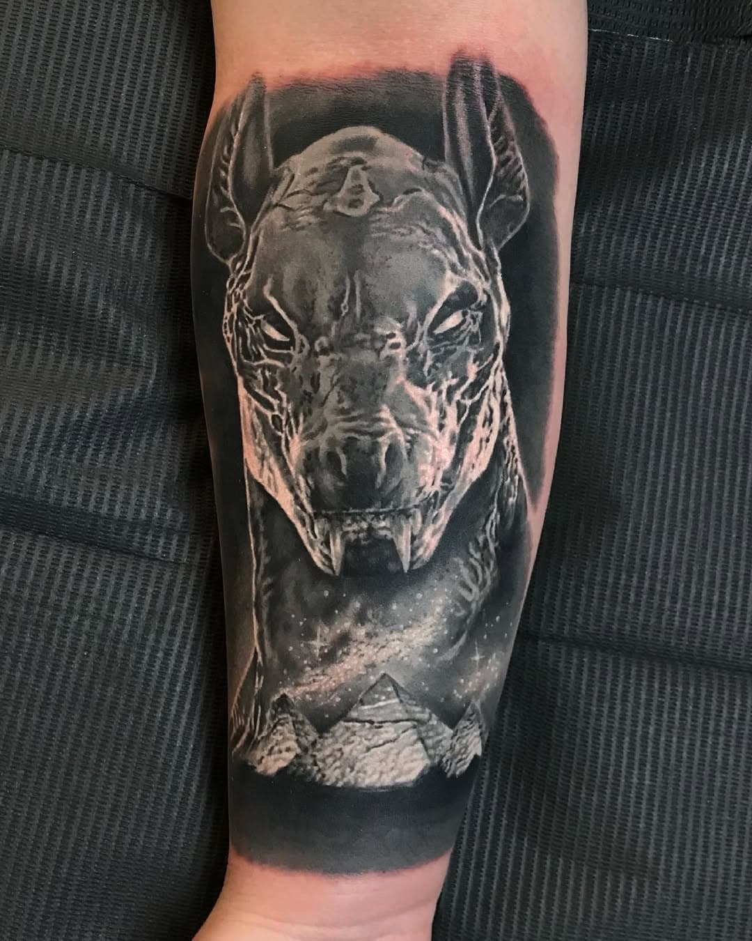 Here’s the Anubis I did at @aontattoo in the public studio. Had a blast on this one, I really enjoy these opaques. Who’s your favorite Egyptian god or goddess? #nofilter#dipshitdave#bishoprotary#longviewtexas#americanatattoos#ink#tattooink#portrait#tattoo#tattoos#tattooer#tattooartist#colortattoo#tattoosnob#blackandgreytattoos#dallastattooer#homefreetattoo#texastattoos#texastattooer#northcarolinatattoo#girlswithtattoos#guyswithtattoos#tattooartist#daveytattoos#boldtattoos#colortattoos#realistictattoos#traditionaltattooartist #neotraditionaltattoos#fusionink