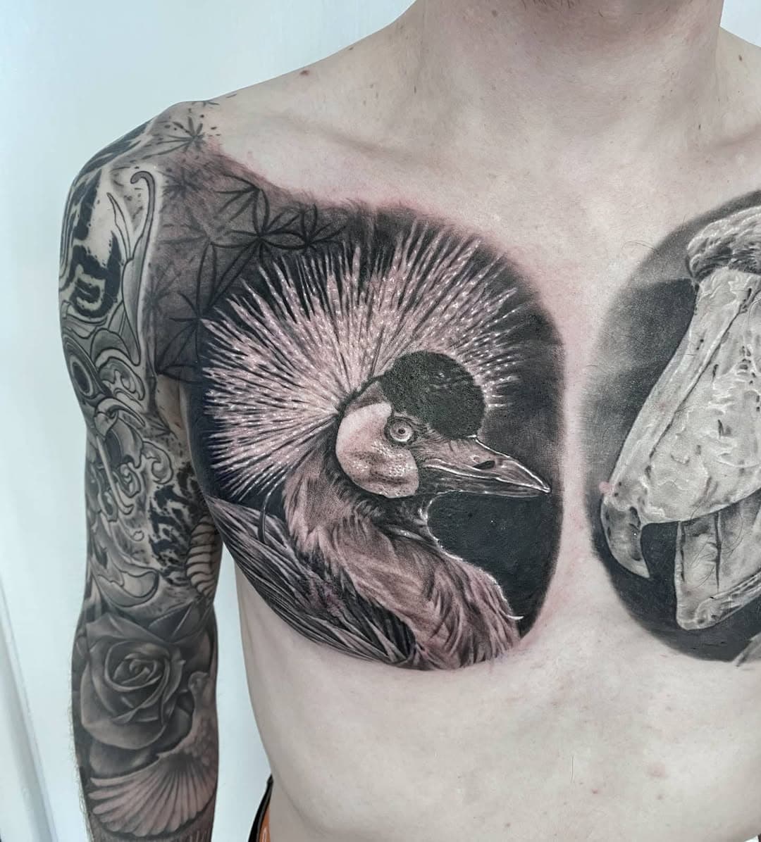Crowned Crane from today.

After being locked down for a year, I've looked at my approach to my work, and I've come to a decision, that I will no longer be taking on new realism projects, at least for the foreseeable future.
I really want to concentrate on my organic ornamental blackwork, and I need the time to be able to do that. That's where my passion and my love lay.
Realism artists are ten a penny now, so it wont be a struggle to get your lion fix.

Obviously I will happily finish all the projects I've started, (and perhaps if you have a really weird and unusual animal youd like done, then it couldnt hurt to drop me an email) but for now, theres other stuff I need to feed my soul with