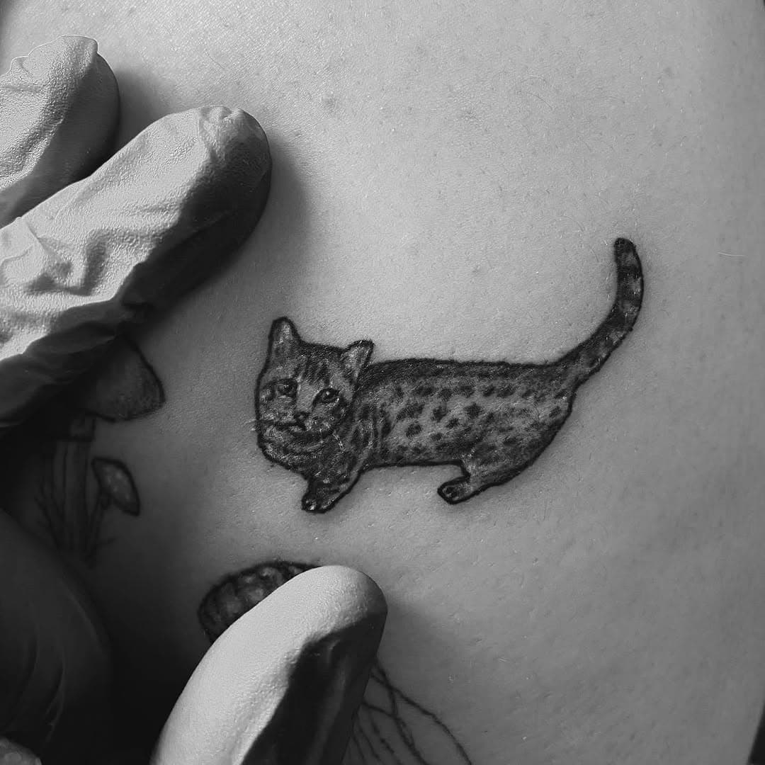 I’m done. A MICRO MUNCHKIN CAT. For those who know me, I am obsessed with my munchkin and I was super honored to do this on a fellow munchkin owner! 

#munchkincat #munchkincattattoo #cat #cattattoo #microtattoo #tinytattoo #tattoo #tattoos #tattooartist #cttattoo #cttattooartist #cttattoos #blackandgreytattoo