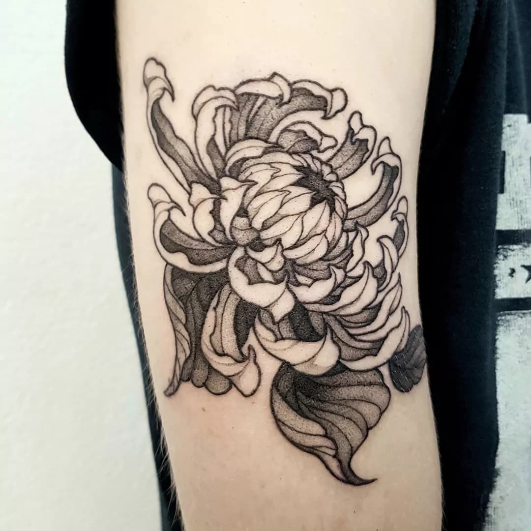 Chrisantheme par @yasmine.relic
. 
Contact : forest.relics@gmail.com
.
.
#tattoo #blackandwhite #blackwork #linework #blacktattoo #dotwork #flashtattoo #flash #apprenticetattoo #chrysanthemum #chrysantheme #fleur #flowertattoo #chrysanthemumtattoo #botanical #botanicaltattoo