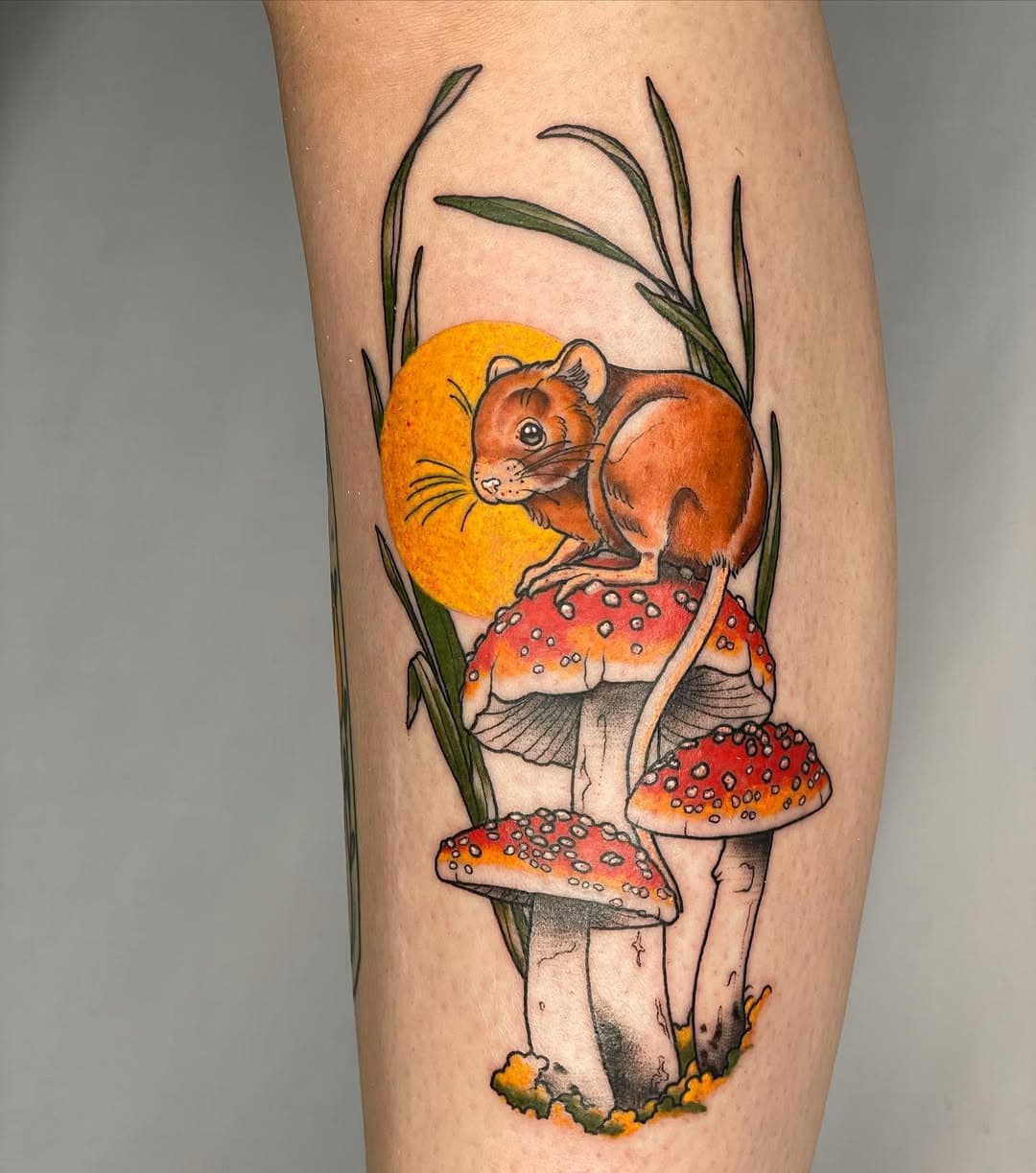 from my upforgrabs, thanks for getting it! had so much fun🍄🐁
.
.
.
.
.
#neotraditional #neotraditionaltattoo #neotrad #neotradeu #neotradeurope #mousetattoo #mushroomtattoo #colortattoo #naturetattoo #animaltattoo #cuteanimal #norwegiantattooers #trondheimtattoo #scandinaviantattooers #femaletattooartist #vegantattoo #veganink