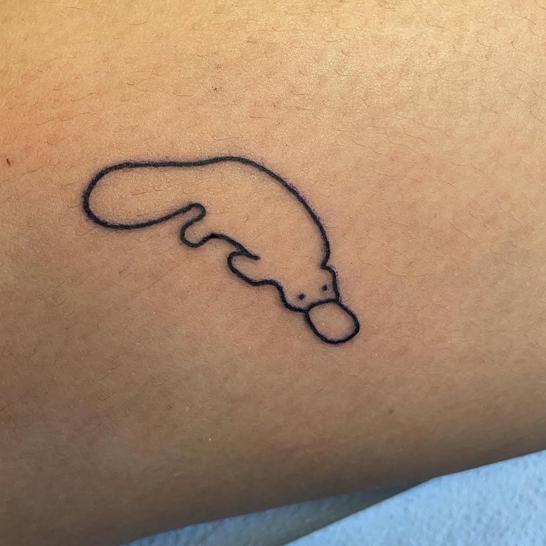 Sweet little platypus from @tattoosbyree #platypustattoo