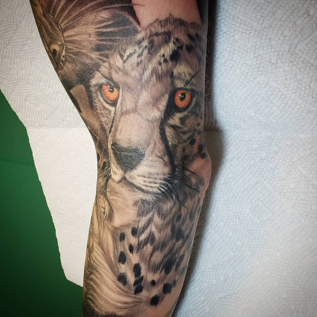 Here Kitty kitty😸#lansingtattoo#michigantattooers#lansingtattooartist#michigantattooartist#michigantattoo#h2ocean#cheyennetattooequipment#eternalink#truetubes#sullenartcollective#electrumstencilprimer #hushanesthetic#