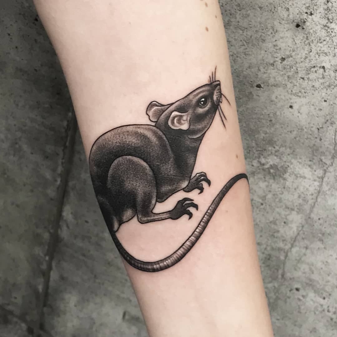 #tttism #tattoolife #blackandgreytattoo #whipshading #pet #rat #animals  #тату #чернобелаятату #випшейдинг #крыса #татукоролев #татумосква