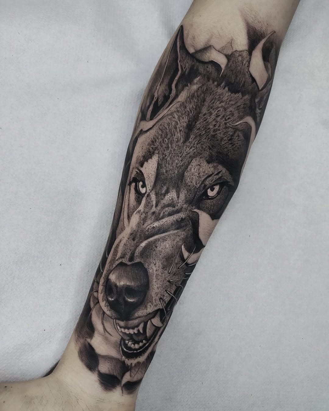 Lobo realizado en @maoandcathy 
Citas disponibles, escribe a callao@maoandcathy.com
.
#wolftattoo #madrid #madridtattoo #neotraditionaltattoo #realismtattoo #blacktattoo #maoandcathy