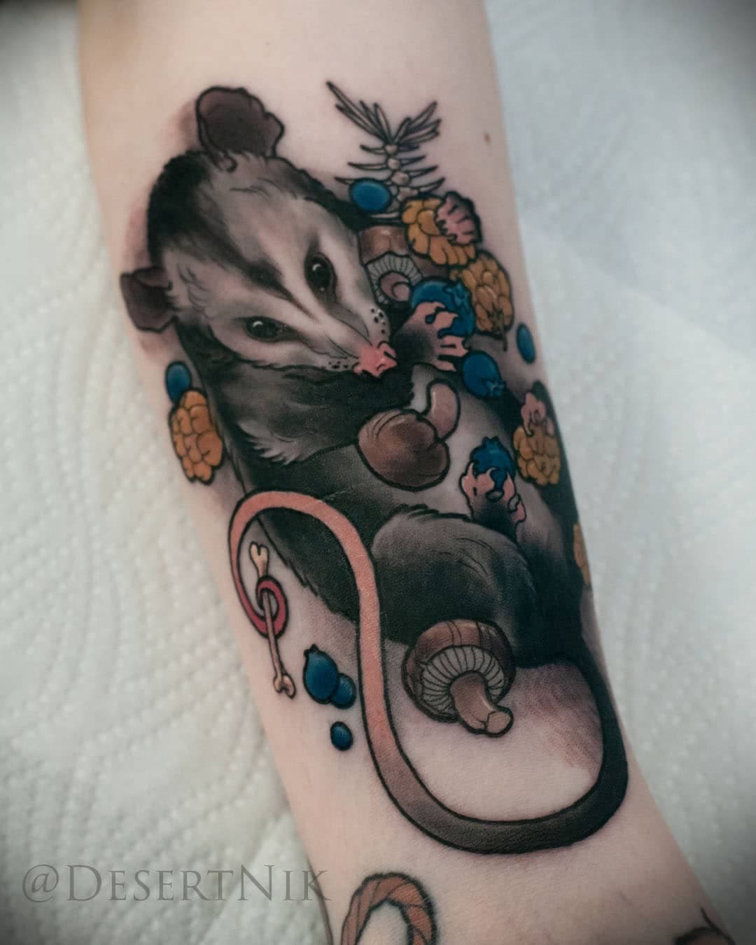 Little trash eater for @lahnakas
Fun little critter, trying to hold all the things he loves to munch on.
.
.
.
.
.
.
.
.
.
#ink #inked #inkedgirls #girlswithtattoos #possum #possums #neotrad #neotradeu #neotradworldwide #neotraditional #guestspot #vienna #schwarzdorn #berlin #dergrimmtattoo #desert_nik #balmtattoogermany #balmtattoo #cheyennetattooequipment #killerink #hmtattomachines #blackngoldlegacy