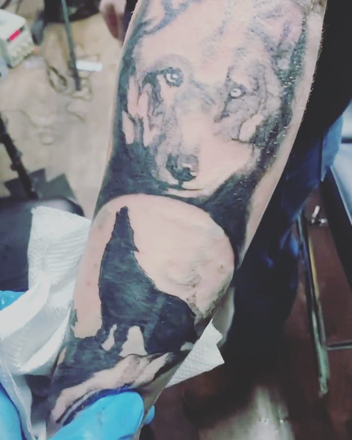 New Forearm Animal sleeve by @sketchy.dre DM for Appointments #bookingnow #marchappointmentsavailable #wolftattoo #animaltattoo #animaltattoodesign #forearmtattoos #forearmtattoo #njtattooartist #njtattoo #nytattoo #nytattooartist #nyctattooartist #nyctattoo #Fye #fyebottom #fyeexclusive #fyp