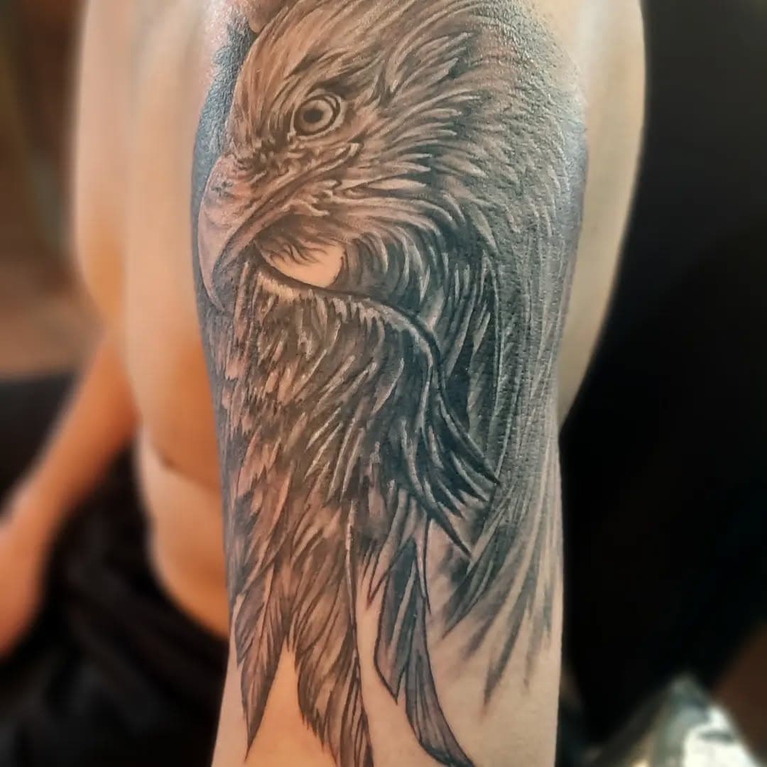 Eagle Before and after cover-up