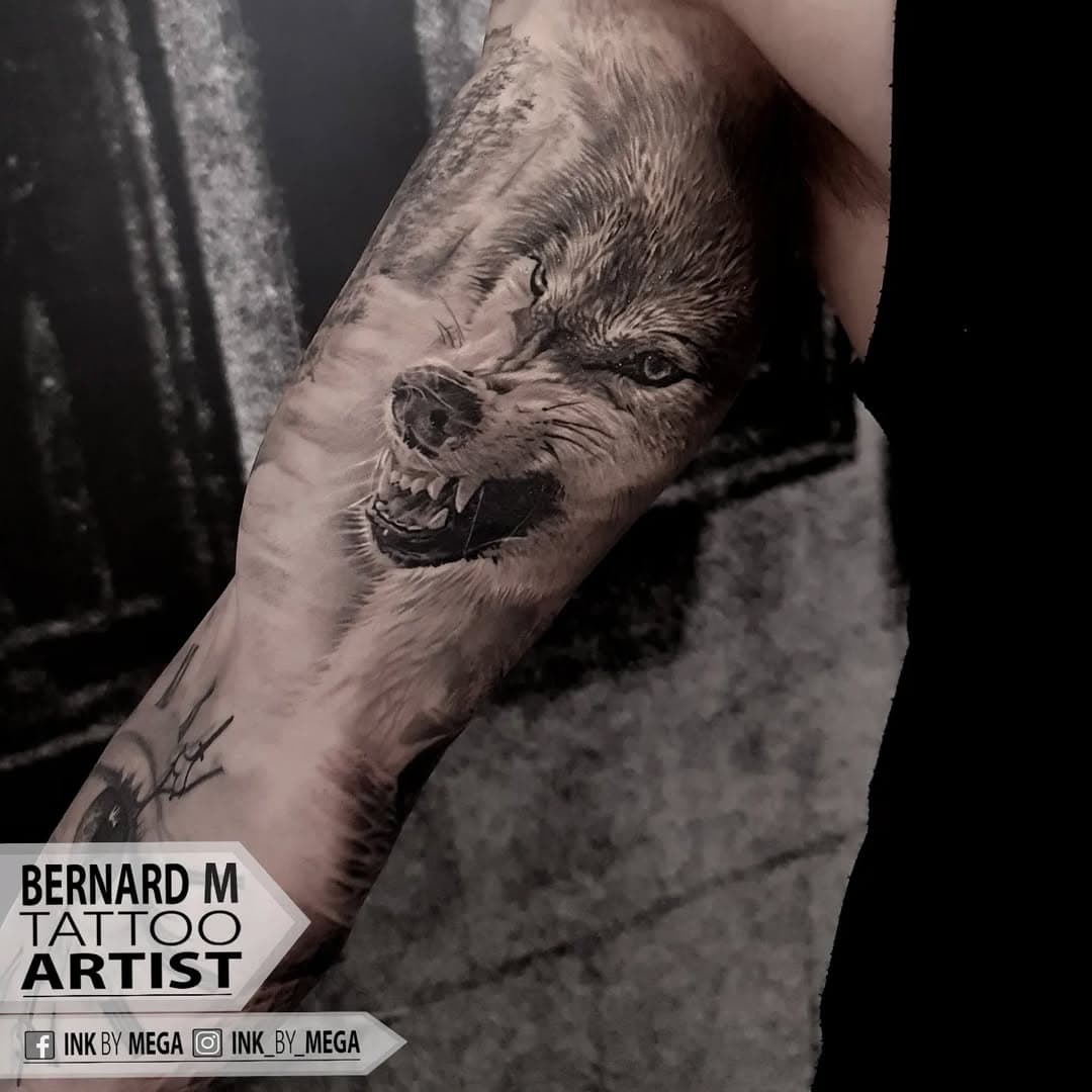 Wolf, part of the nature sleeve 

#Wolf #wolftattoo #realistictattoo #nature #bernardmarusic