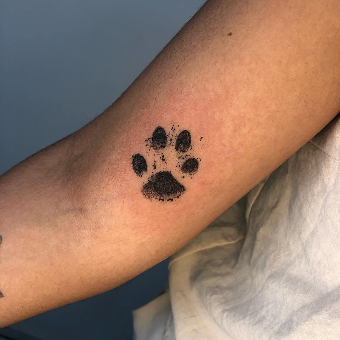 patinha da Flor, na pele da @_apborba 
muito obrigado, Ana Paula!

#pet #pettattoo #dogtattoo #dog #doglovers #doglover 

ORÇAMENTOS E AGENDAMENTOS APENAS POR WHATSAPP (LINK NA BIO)