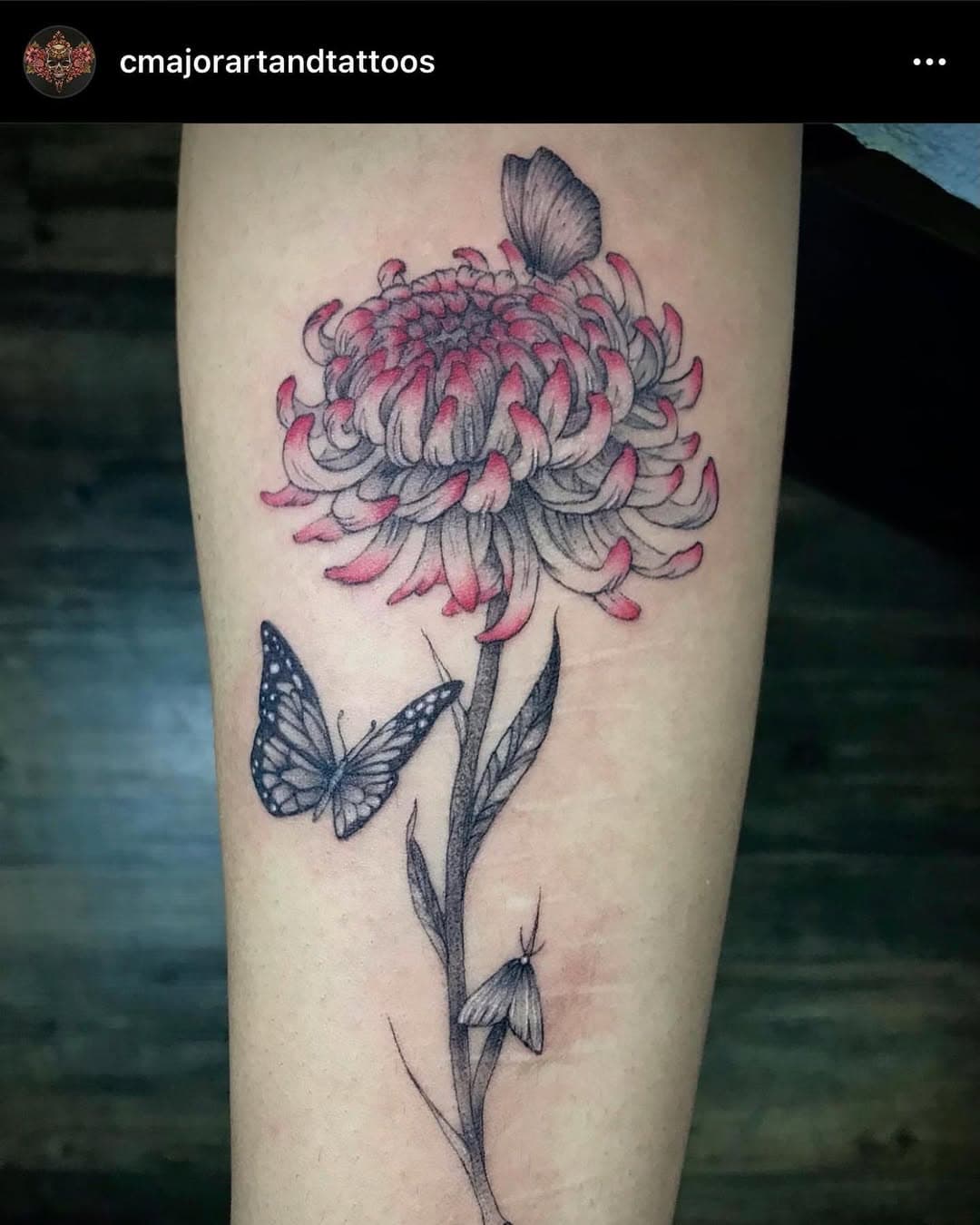 Watch Cailin’s IG stories later today for available pre-drawn designs! She has a lot of options for black & grey or color pieces!  @cmajorartandtattoos @cmajorartandtattoos @cmajorartandtattoos @cmajorartandtattoos @cmajorartandtattoos 💜👏🥳