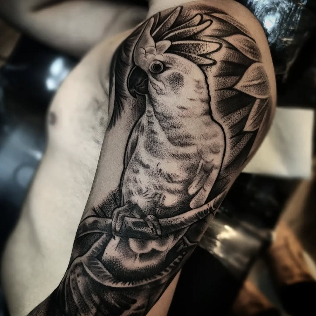 #parrot #bird #cockatoo #kakatu #kakatua #birds #parrots #tattoo #tattoos #ink #moluccancockatoo #moluccan