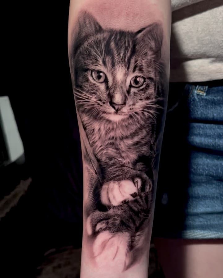 Cat portrait made at unusual times for me🤣all finished at midnight.. Cinderella’s style 👠 Done with @kwadron @dermalizepro at @reservoir_studios 

#catportrait #cat#catlover#cats #cattattoo