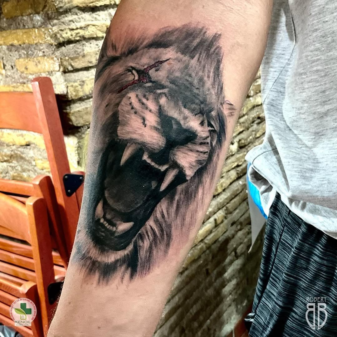 Angry lion, sponsored by @kenoilcbdtattooaftercare 
www.kenoilcbd.com 
@kenoilcbdtattooaftercare @kenoil_cbd @shockstar 
#tattoo #tattooart #tatuaggio #tattoodesign #colortattoo #redpanda #panda #blackandgraytattoo #tatuatore #tattooartist #proteamartist #robertbbtattoo #robertbbtattooart #tattoostudio #tattoorobertbb #aftercare #kenoil #kenoilcbd #fkirons #cheyenne_tattooequipment #portrait #italia #roma