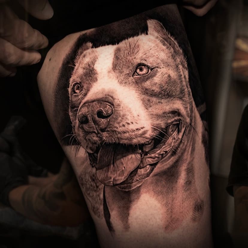 🐶 DOG PORTRAIT 🐶 

👉🏼 Desliza para ver el vídeo! 

🙏🏻 Muchas gracias a mi cliente Eusebio por confiar en mí para plasmar la imagen de su precioso y peludo compañero!

•Hecho en: 📍@Hall_of_ink_📍

•Productos:

➡️ @aloetattoo 🍃
➡️ @versuscartridge 💉
➡️ @balm_tattoo ⚗
➡️ @hornetarttattoosupply 🍯
➡️ @radiantcolorsink 🌅

#DogTattoo #Dog #Puppy #RealismTattoo #Realism #Photography #Tattoo #GranadaTattoo #RadiantColorsInk #RadiantColorsCrew #RadiantColorsEurope