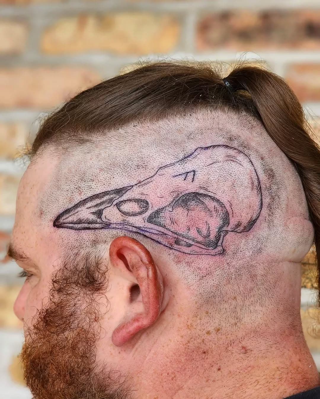 I'm alive! Back after a little bit of unintended hiatus, due to moving locations, and a few little hiccups along the way. All good now, finally!

Tattooed my first head today. On a super tough dude, Zach. This was incredibly fun, and I can't wait to do more. 💀💀💀

-
-
-
#ravenskull #headtattoo #spooky #darkart #runes #bones #downtownpensacola #blackwork