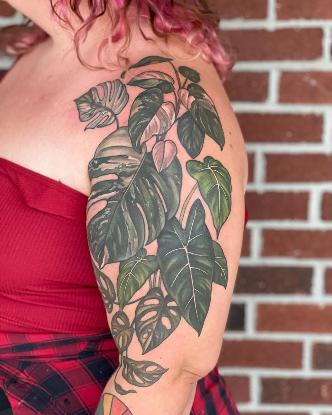 Finished this houseplant cluster for Alannah not too long ago, I’m super behind on posting as usual 🥲 This is mostly healed!!
Swipe for an indoor shot where you can see the green variations a bit more 🍃 
.
.
.
.
.
.
#houseplants #houseplanttattoo #pinkprincessphilodendron #ppp #monsteravariegata #swisscheeseplant #alocasia