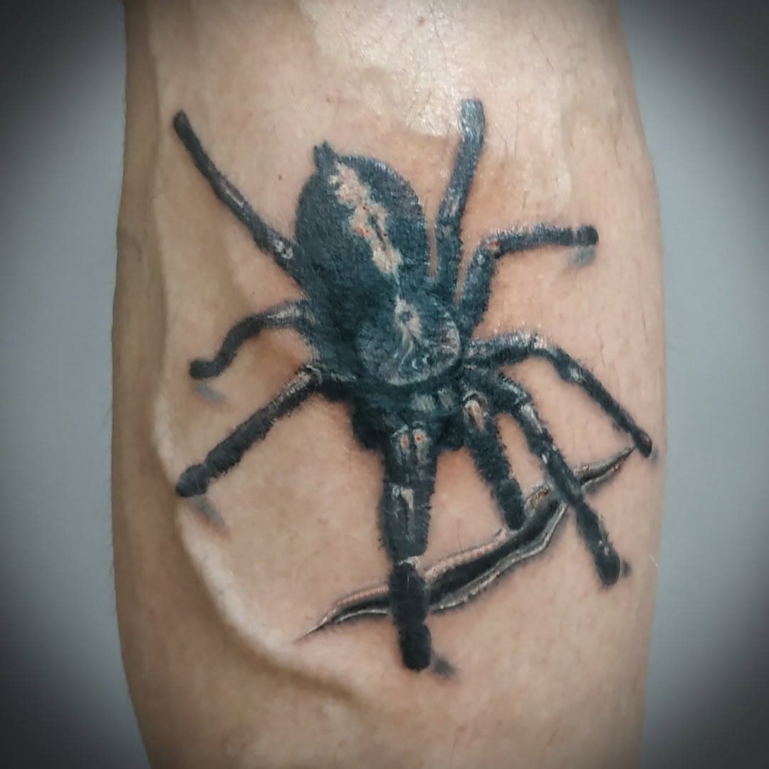 Et hop, une petite araignée pour Romuald.
Merci pour ta confiance renouvelée.

#tattoo #tattoos #realistictattoo #spidertattoo #tatouage #tatouagesaraignee #tattoocolmar #colmartattoo #tatouagecolmar #tatoueurcolmar