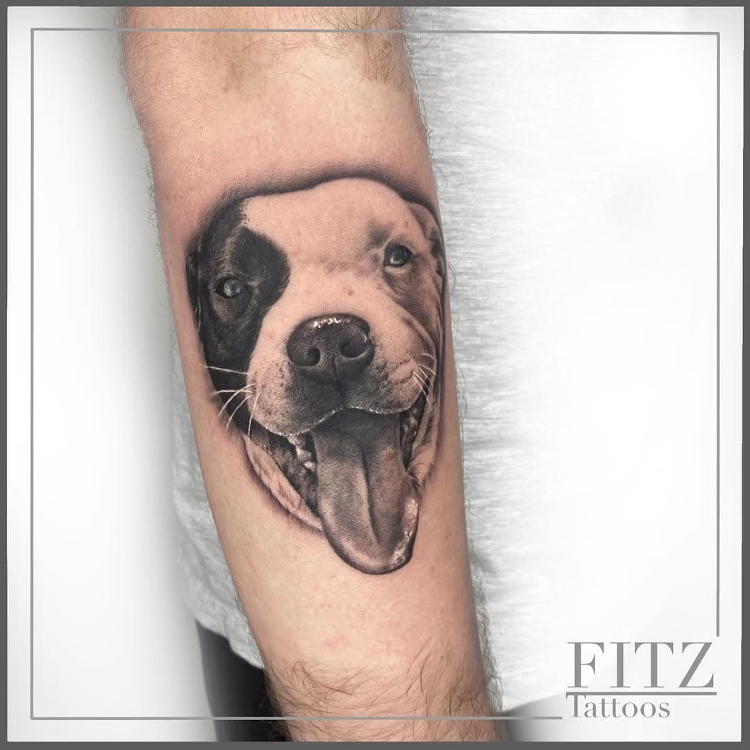 Can always rely on Ewan for a nice fun piece🤟🏻 thanks man @ewank_99 
.
.
.
.
#bournemouth #bournemouthtattoo #bournemouthbeach #dog #dogsofinstagram #doglovers #dogportrait #dogportraittattoo #realism #realistictattoo #blackandgreytattoo #uktta #uktattooartists #staffy #tattoo #ink #femaletattooartist #cuteanimals #cutetattoo #mansbestfriend #animaltattoo #artwork #instagood #fkirons #dynamicink #tattoolife #sleevetattoo #wip