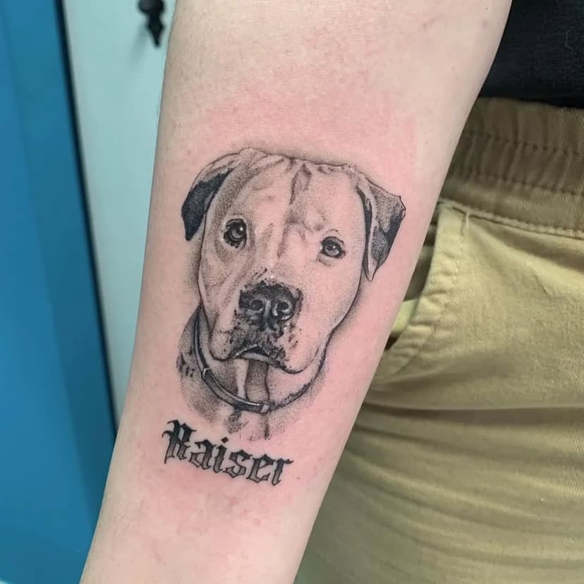 Tatuaje realizado en @lamalavidatattoo
Retrato de Raiser 😎
.
.
Gracias por la confianza 💪
.
.
#dogtattoo #realismotattoo #tatuajepitbull #pitbulltattoo #tattooalcaladehenares #tattoo #dog #perrotattoo #realistictattoo