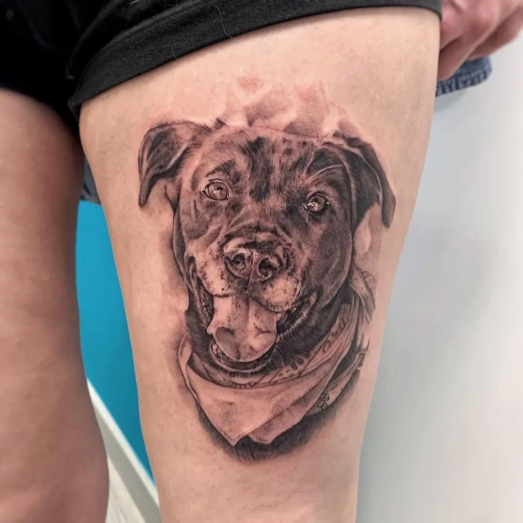 #Realismo tattoo hecho en nuestro estudio #lamalavidatattoo
.
.
Gracias por la confianza 😎
.
.
#tattooalcaladehenares #tattoomadrid #tattoorealistic #realismotattoo #dogtattoo #dog #realistictattoo #perrotattoo #retratotattoo #tatuajerealista