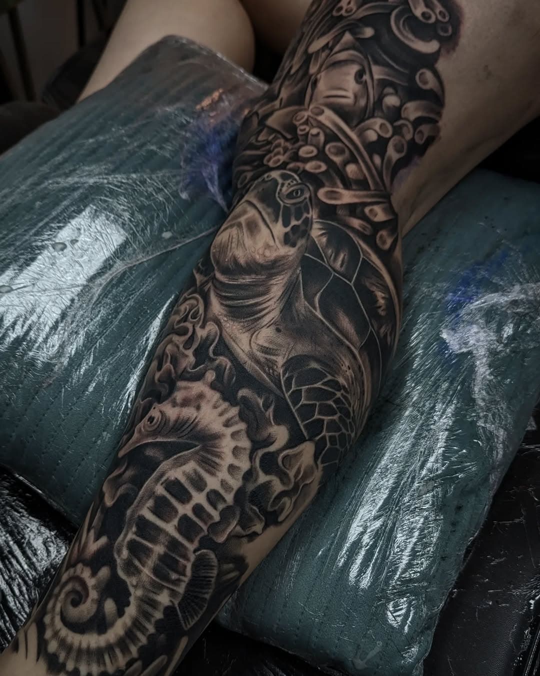 O C E A N I C 

#tatoeëren #tattoo #tattoos #tatuaje #tato #tatouage #tatuagem #washamu #ink #tinta #irezumi #wenshen #moshui #encrer #instagram #viral #tiktok #hokkers #art #bali #seminyak #indonesia #holiday #prive #private #ocean #life #turtle #fish #SEAHORSE