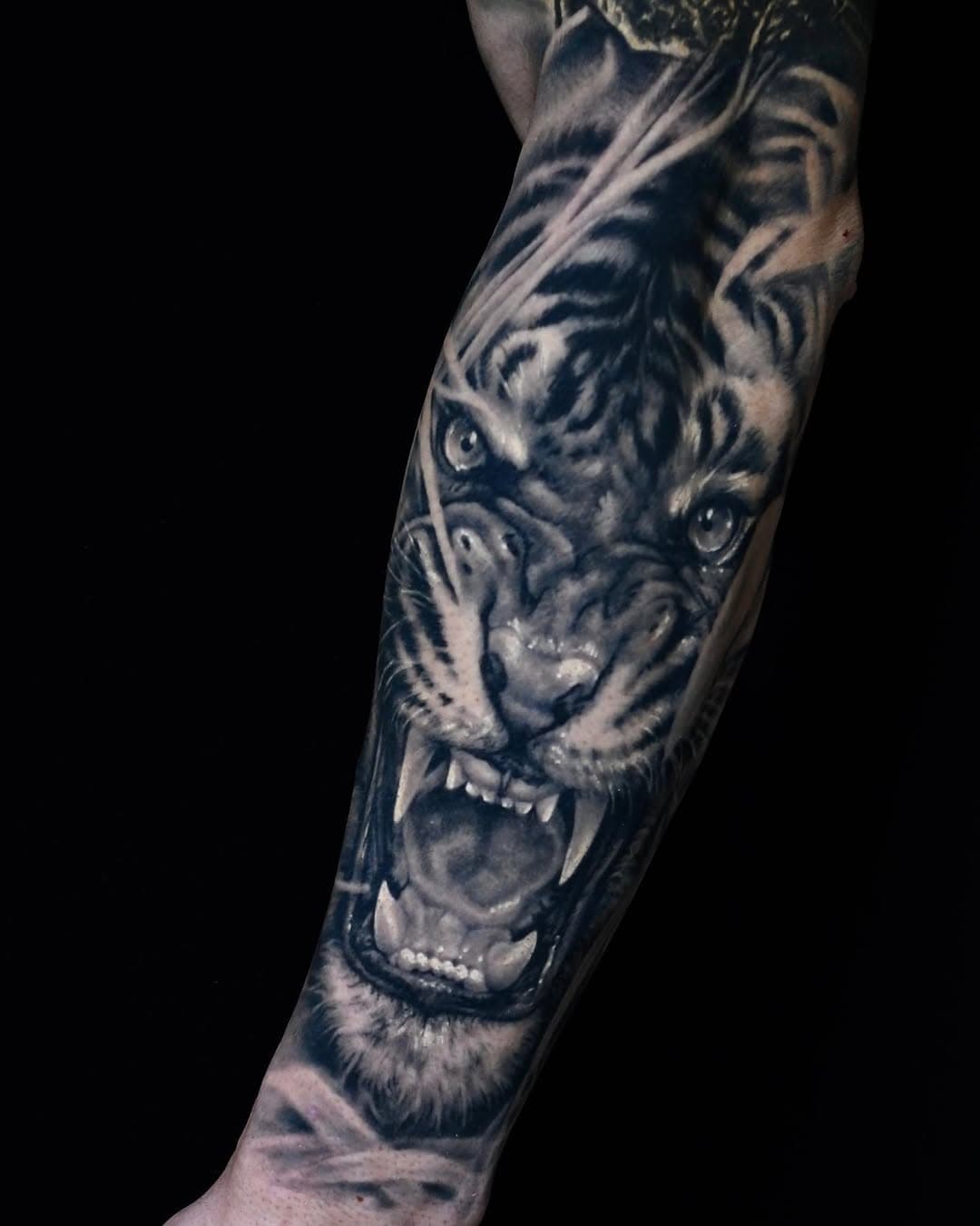 🔥 Abgeheilt 🔥

* Künstler: @mireltattoo
* Kostenlose Beratung zu Jederzeit via Social Media oder persönlich in unserem Studio. 

💻- Facebook, Instagram, Whatsapp, Telegram, Signal
📱- 015223258545
🏠 - T6, 10 / 68161 Mannheim

#tiger #tattoo #blackandgrey