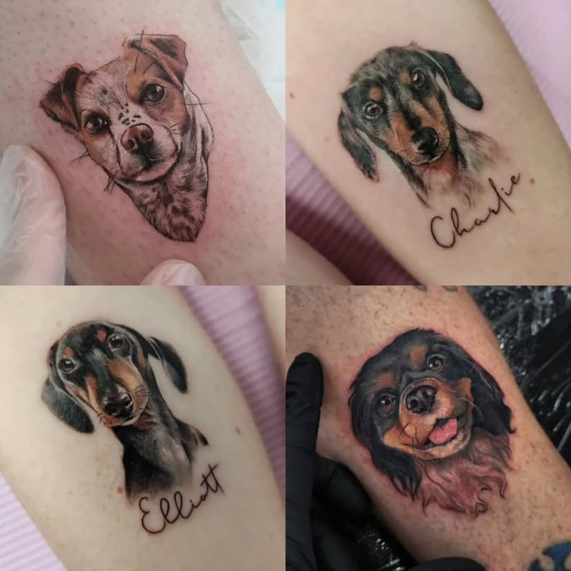 I'd love to add more colour realism to my portfolio, especially more mini portraits of your fur babies. 🐶❤️🐱

 × ♡ × ♡ × ♡ × ♡ ×

#tattoo #tattooartist #ink #tattooinspiration #instatattoo #inked #melbourne #melbournetattoo #tattoomelbourne #dogtattoo #finelinetattoos #microtattoo