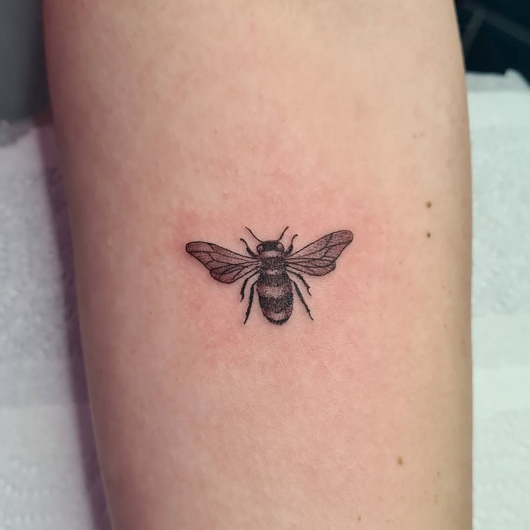 A little honey bee for @love_emstagram over the weekend at my guest spot over at @fureytalestudios !
So good to meet you Emma 🥰
.
Small tattoos are always welcome 💜
Space in June and July still, please use the link in my bio for bookings or enquiries.
.
.
.
#beetattoo #honeybeetattoo #beetattoos #smalltattoo #nofiltertattoo #savethebees #northamptontattooartist #northamptonuk