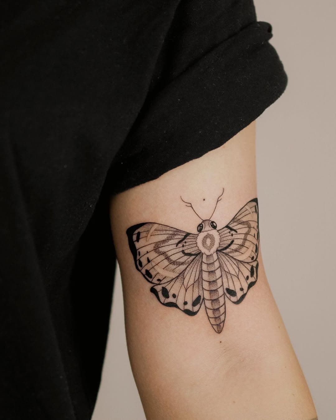 another moth ✨🌙