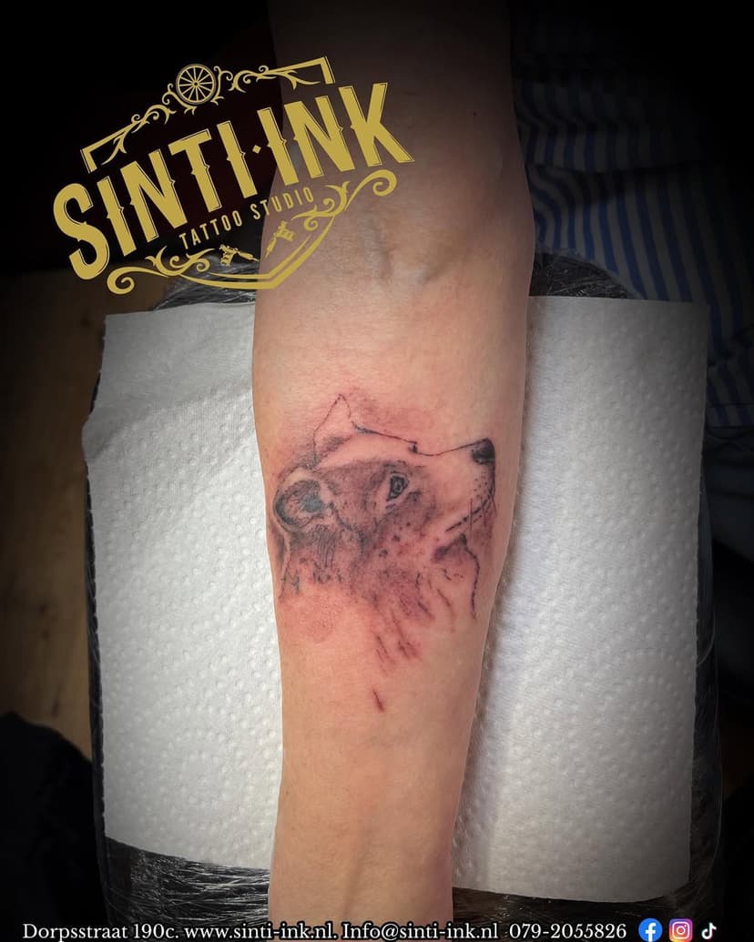 #sintiink #tattoostudio #tattooshop #tattooworld #tattoosociety #tatoolovers #dogtattoo #dog #portrait #dogportrait #armtattoo #viral #fy #fyp #voorjoupaginavoorjou #artist #tattooartist #dedorpsstraatzoetermeer