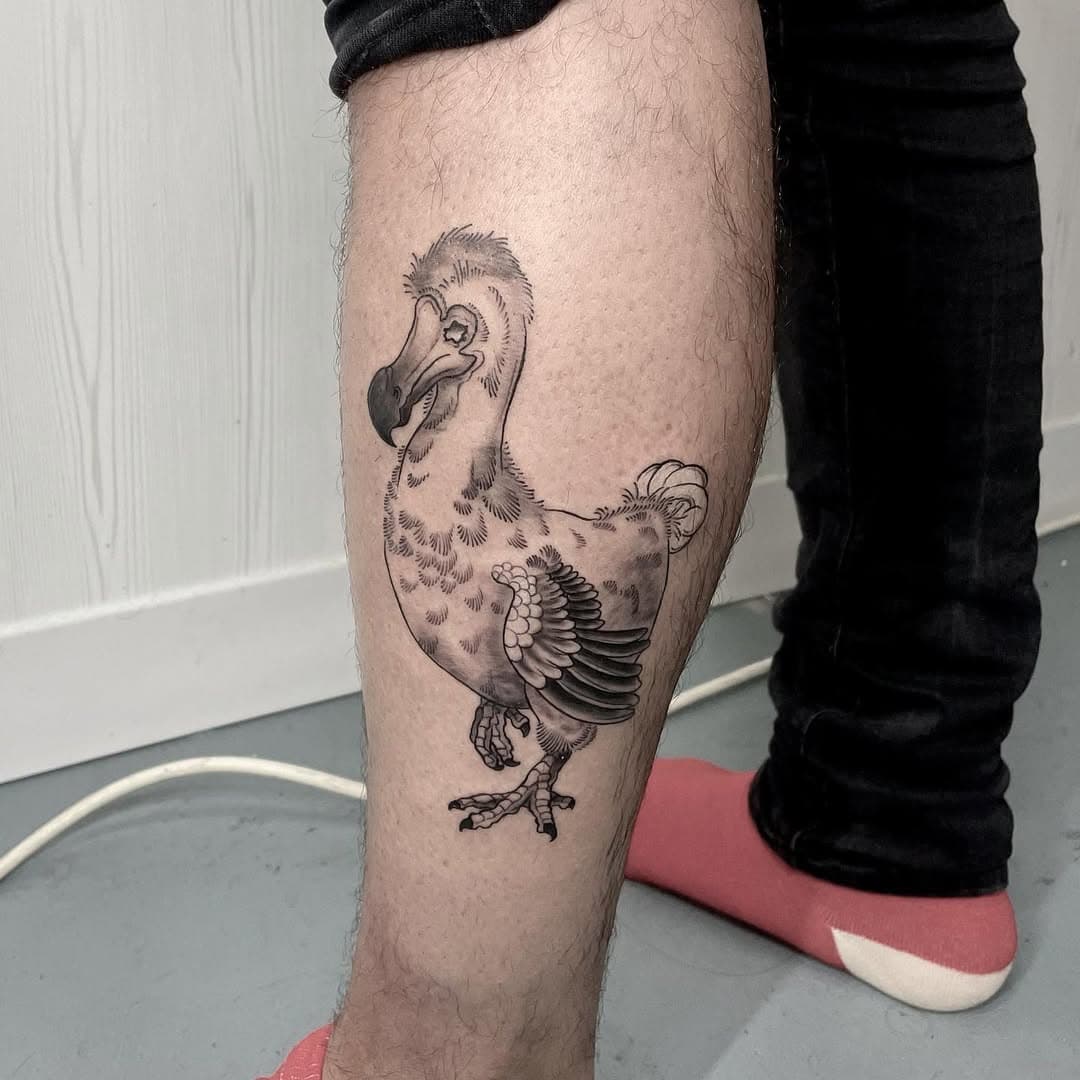 Been quiet for a while! I’m still here just haven’t found another studio yet 🥺 here’s a dodo I did!
#dodotattoo #dodo #dodobird #birdtattoo #calftattoo #blackandgreytattoo #blackandgrey #blackandgreytattoos #darktattoo #darktattooart #apprenticetattoo #apprenticetattooer #bristoltattoo