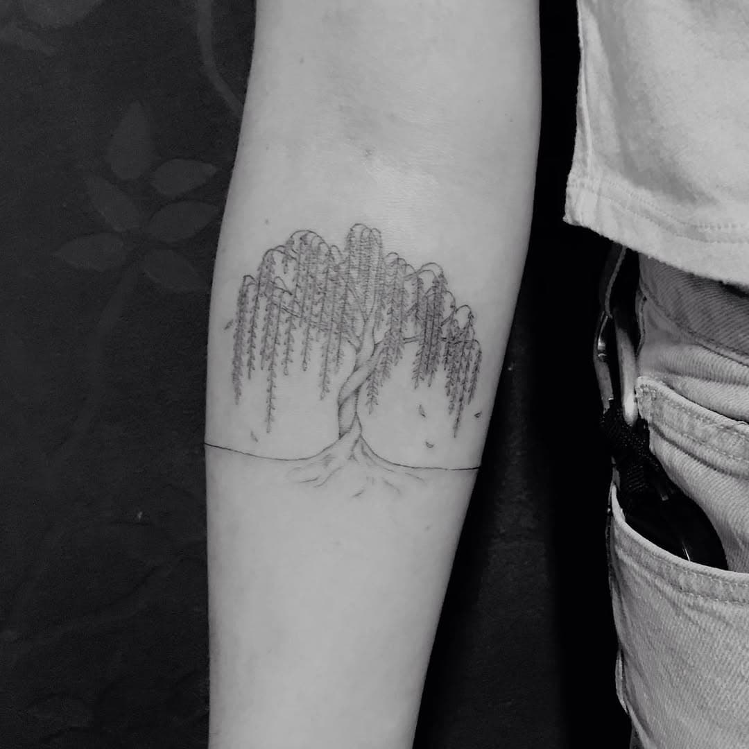 Willow tree - home on the skin of a kind and lovely human. Thank you so much for your trust, I loved to design and tattoo it 🌿

#willow #willowtree #natureart #treetattoo #bodyflow #tattooart #lineart #lineworktattoo #singleneedletattoo #singleneedle #finelinetattoo #fineline #art #arte #arts #tattooart #ink #inked #tattooartist #pictureoftheday #germantattooers #femaletattooartist #nrw #münster #münsterliebe #ms4life #ms4l