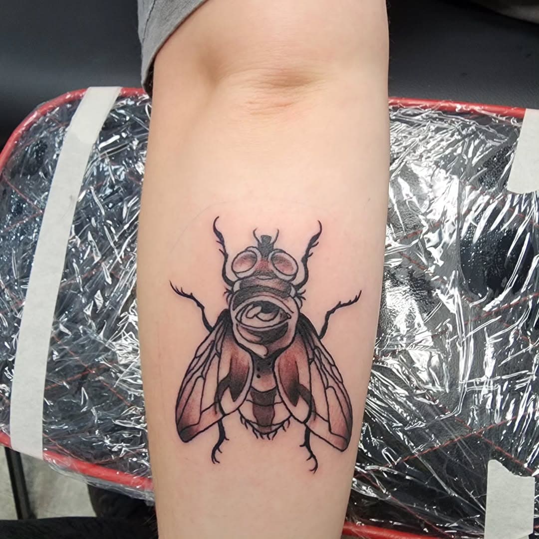 Sean did this little fly guy the other day