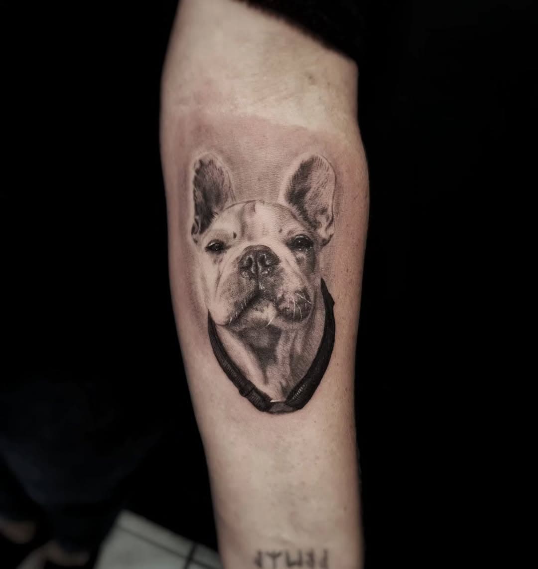 𝓓𝓸𝓰 𝓟𝓸𝓻𝓽𝓻𝓪𝓲𝓽
.
.
.
.
.
#dogtattoo #tattoo #dog #tattoos #ink #tattooartist #inked #pettattoo #tattooart #blackandgreytattoo #dogportrait #art #tattooed #tattooideas #realistictattoo #dogsofinstagram #tattoolife #animaltattoo #doglover #tattoodesign #kwadron #blackwork #tatuaje #dogtattoos #portraittattoo #finelinetattoo #tattooist #blackworktattoo #dogs #französischebulldogge