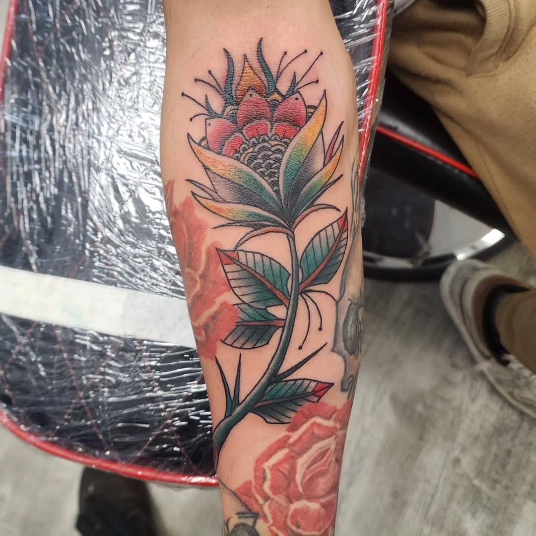 Sean did this cool little gap filler today