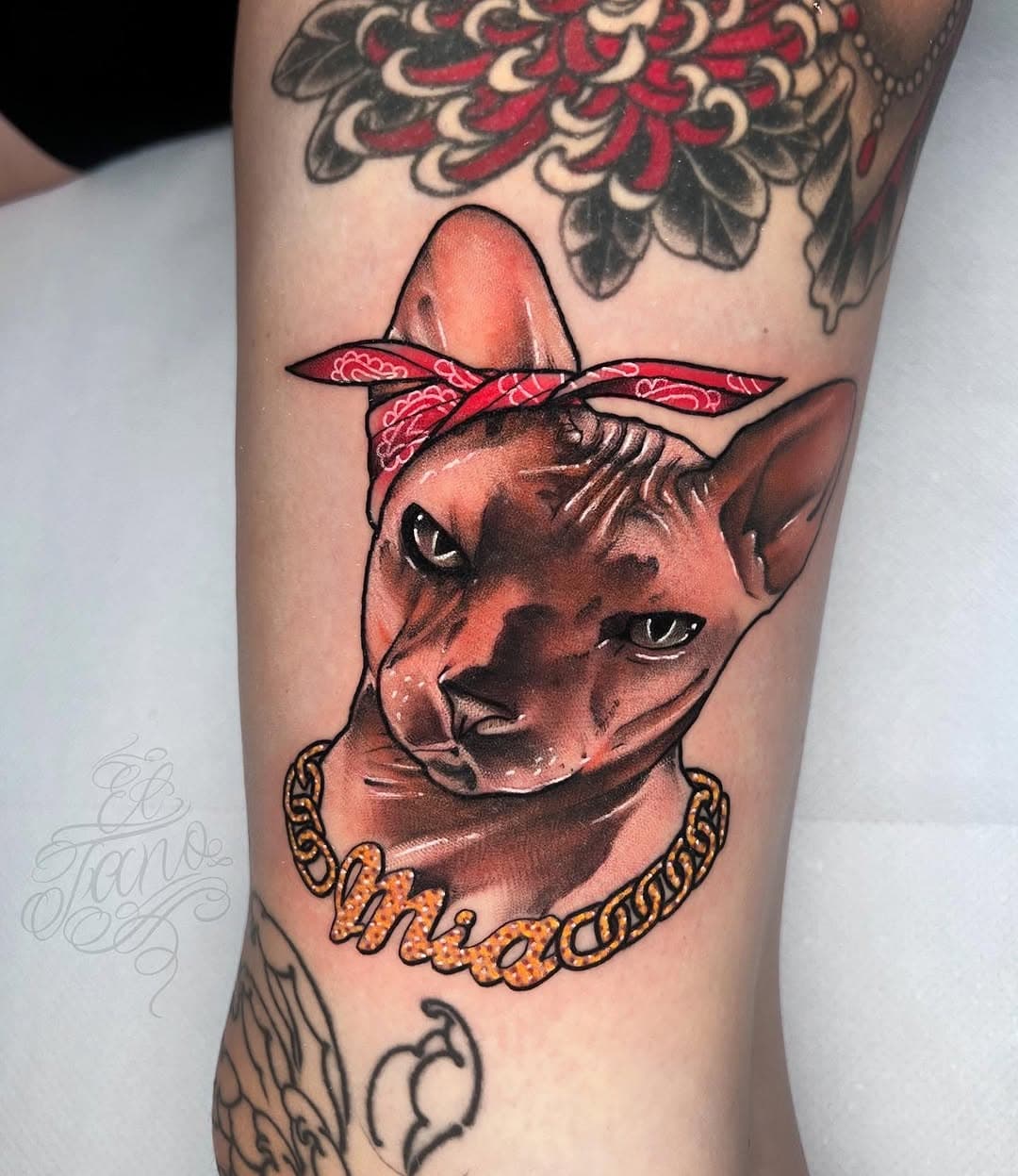 Mia del varrio 🤙🏽
Thank you Emiliana 🖤
#sphynx #sphynxkitten #neotraditional #neotraditionaltattoo #neotradeu #cattattoo #cholo #cholostyle #varrio #newtraditional #portrait #tattooportrait