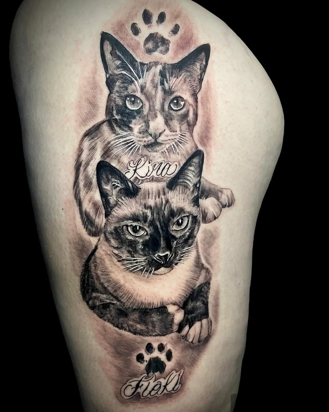 😺😼 Trabajo realizado por @peckatattoo 
En @dermagraphictattoo Ven y cuéntanos tú idea! 
. 
.
.
.
-🏠 Calle Hospital 10.
15002, A Coruña 📍
📲 Citas y presupuestos 
 (+34) 651146695
📨 Mensaje directo al IG 
.
.
.
.
.
.
#dermagraphictattoocoruña #tatuajescoruña #galicia #realistictattoo #coruña #tattoogatos #tatuaxes #tattoocoruña #ink #tattoo #blackandgreytattoo